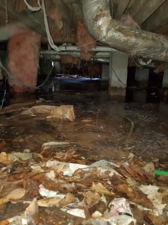 Crawl space flood assessment for Leak Detection & Repair in Fair Oaks